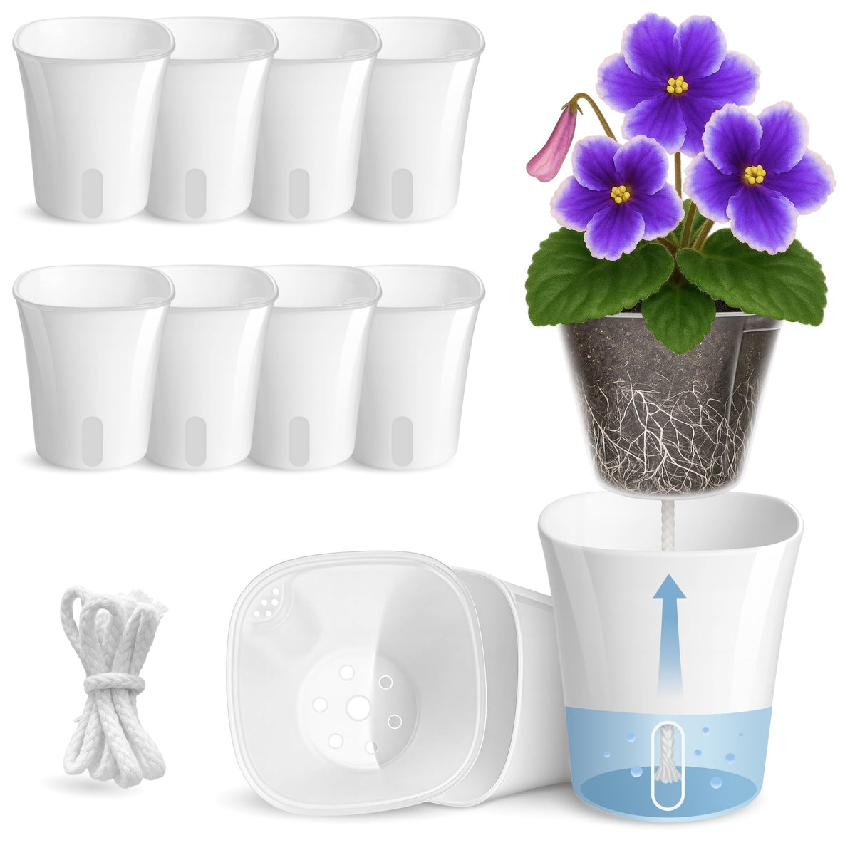 Vandorelle 3-inch self-watering pot inner cup shows root growth and moisture level