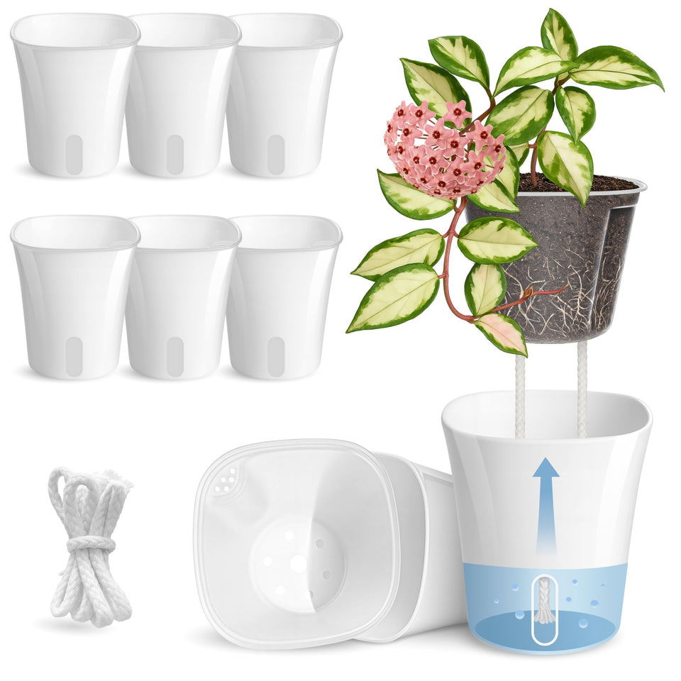 Vandorelle 8-pack self-watering pots with clear inner cup for root growth monitoring
