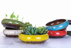 VanEnjoy planter for succulents in green supports healthy watering