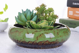 VanEnjoy succulent ceramic planter in green with drainage for easy care
