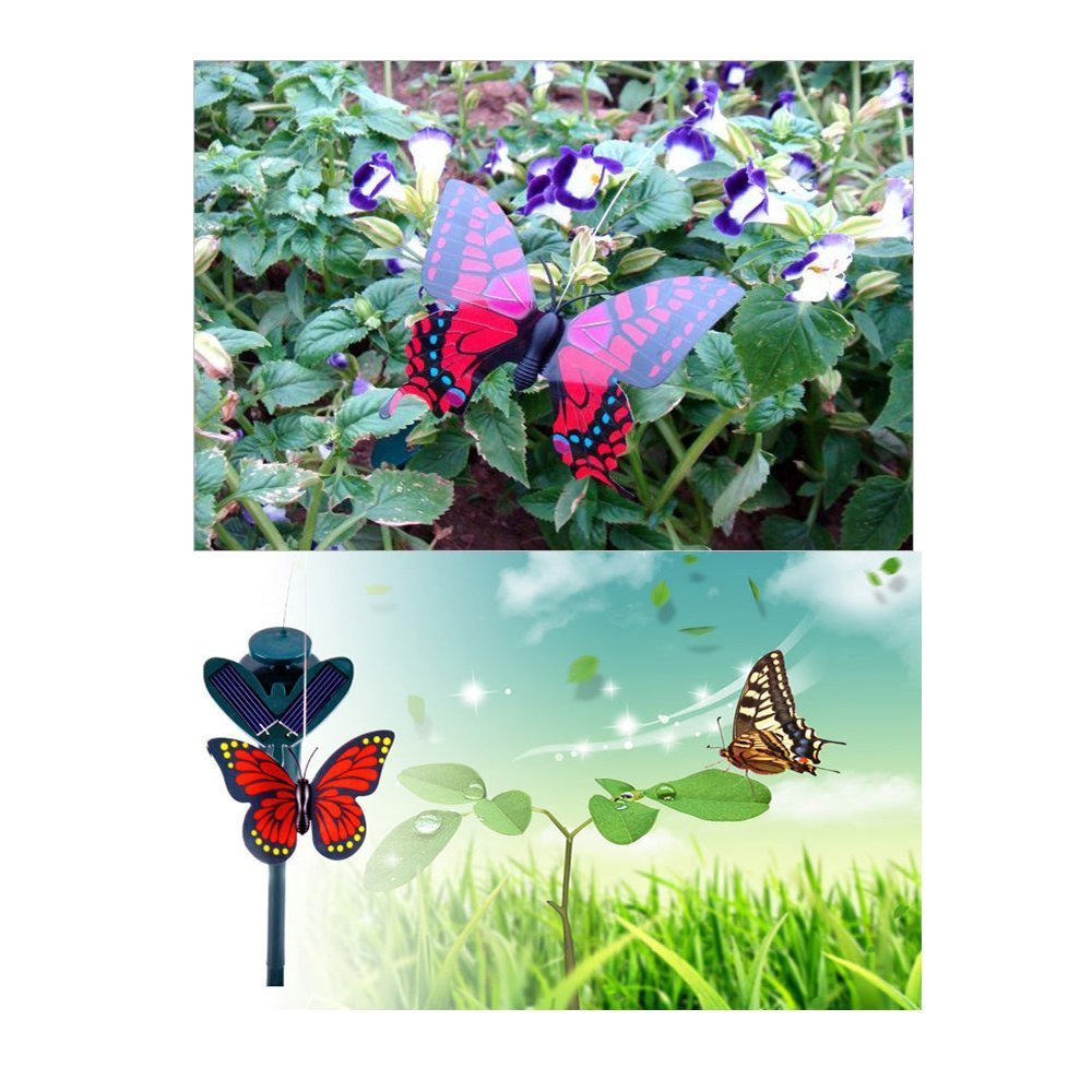 Vanki butterflies in sunlit display showing dynamic movement