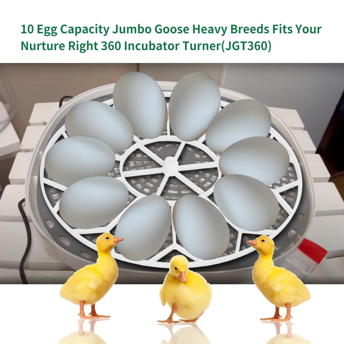 Vanshly JGT360 goose-egg tray side view shows ample spacing.