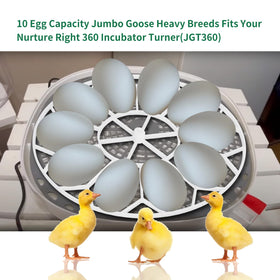 Vanshly JGT360 goose-egg tray side view shows ample spacing.