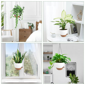 Vanslogreen indoor-outdoor-use-vertical-design highlights space-saving balcony greenery