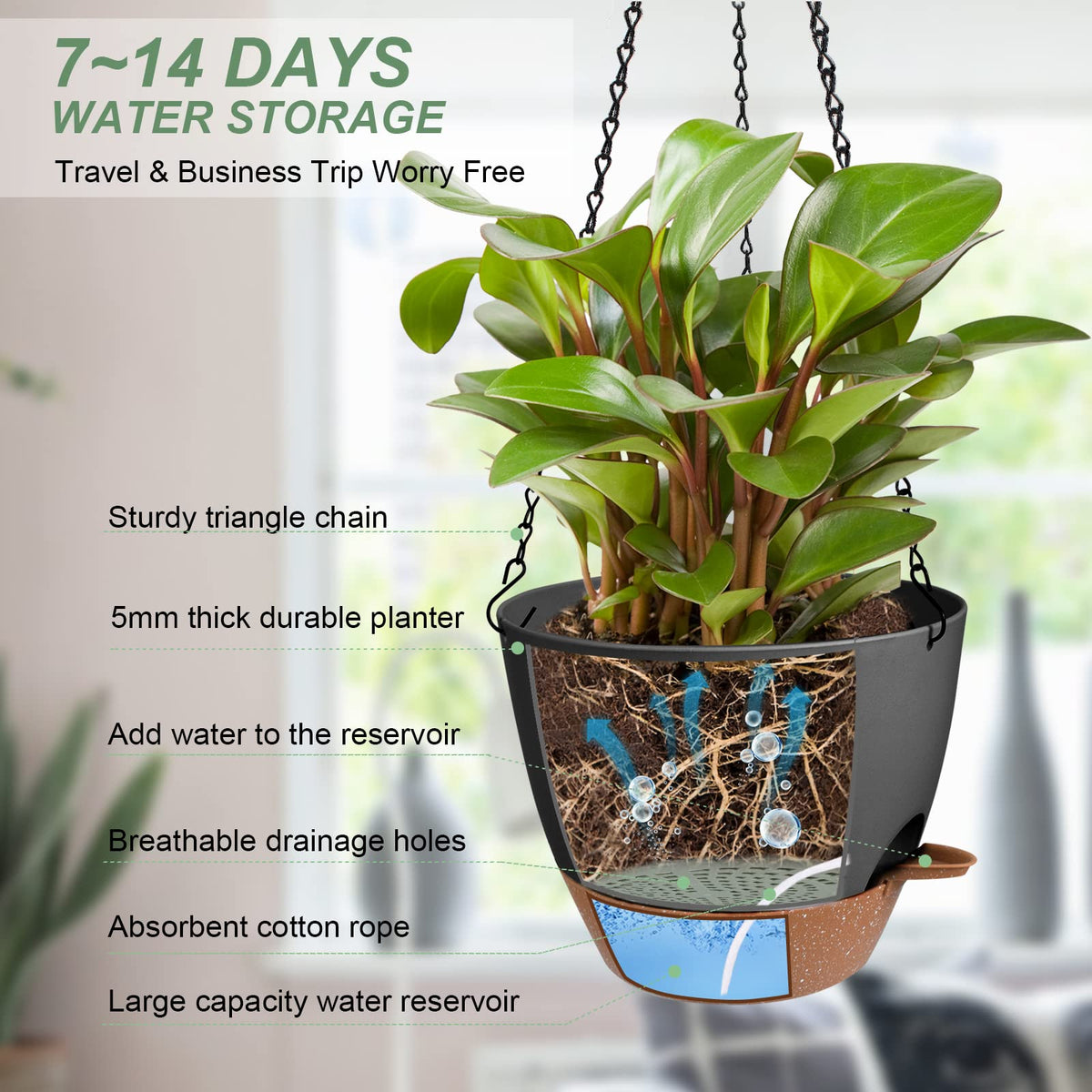 Vanslogreen self-watering hanging pot demonstrates built-in reservoir for low-maintenance care.
