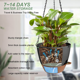 Vanslogreen self-watering hanging pot demonstrates built-in reservoir for low-maintenance care.