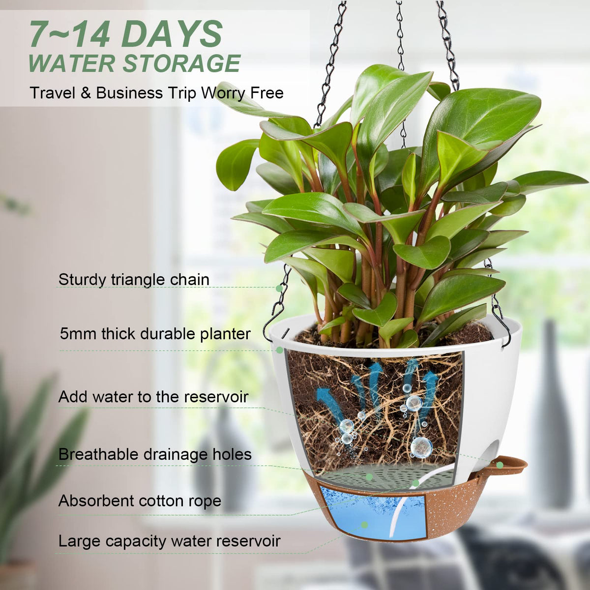 Vanslogreen self-watering planter with removable tray for easy moisture management.