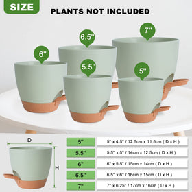Vanslogreen self-watering pot 5.5-inch fits compact plants with controlled moisture