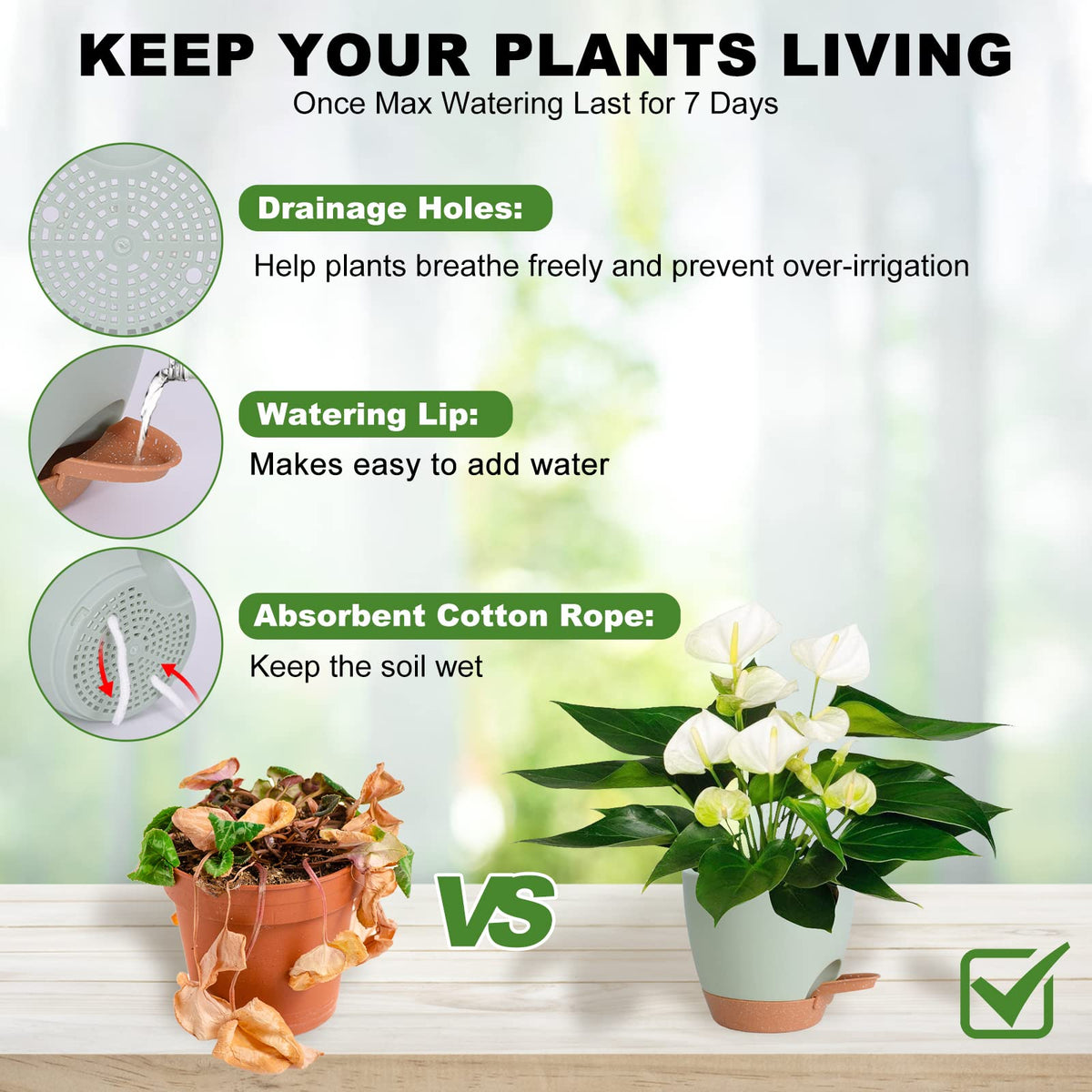 Vanslogreen self-watering pot 6.5-inch keeps soil evenly moist with minimal effort