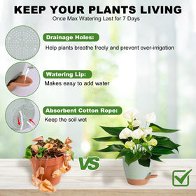 Vanslogreen self-watering pot 6.5-inch keeps soil evenly moist with minimal effort