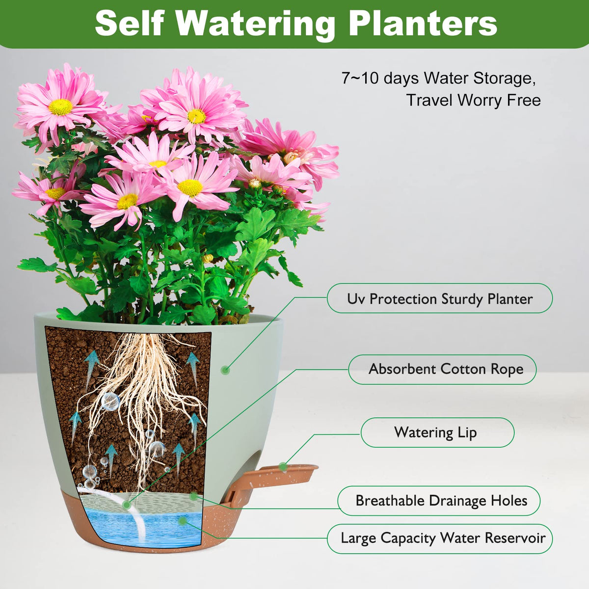 Vanslogreen self-watering pot 6-inch ideal for herbs and small plants