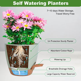 Vanslogreen self-watering pot 6-inch ideal for herbs and small plants