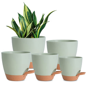 Vanslogreen self-watering pot 7-inch maintains steady moisture for indoor plants
