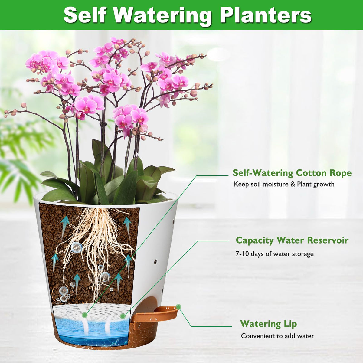 Vanslogreen self-watering tray helps orchids stay hydrated for days.
