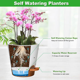Vanslogreen self-watering tray helps orchids stay hydrated for days.