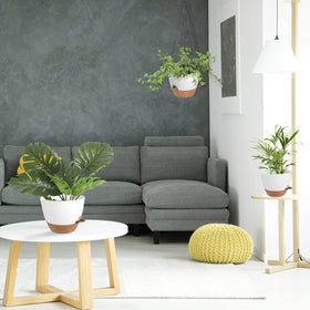 Vanslogreen vertical, space-saving design displaying lush greenery.