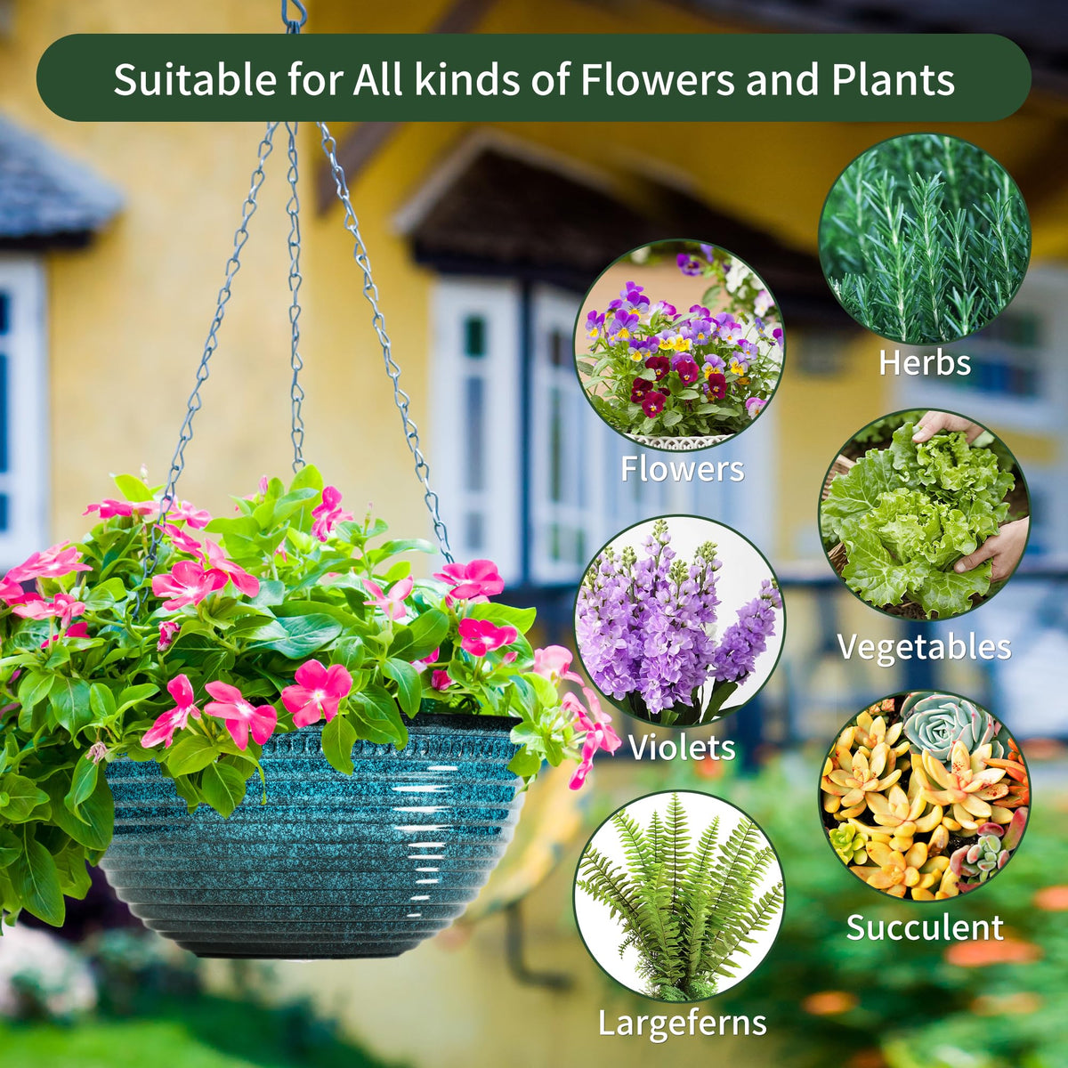 Vanslogreen 12-inch planter can hang or sit on a tabletop.