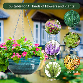 Vanslogreen 12-inch planter can hang or sit on a tabletop.