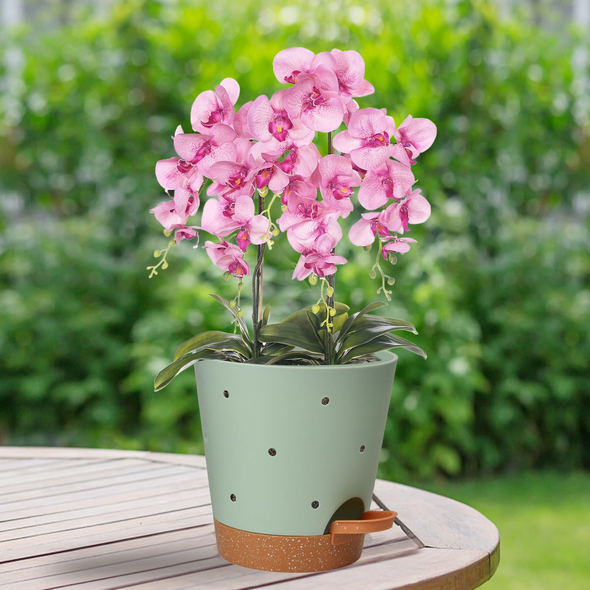Vanslogreen durable plastic pots for orchids, succulents, and herbs.