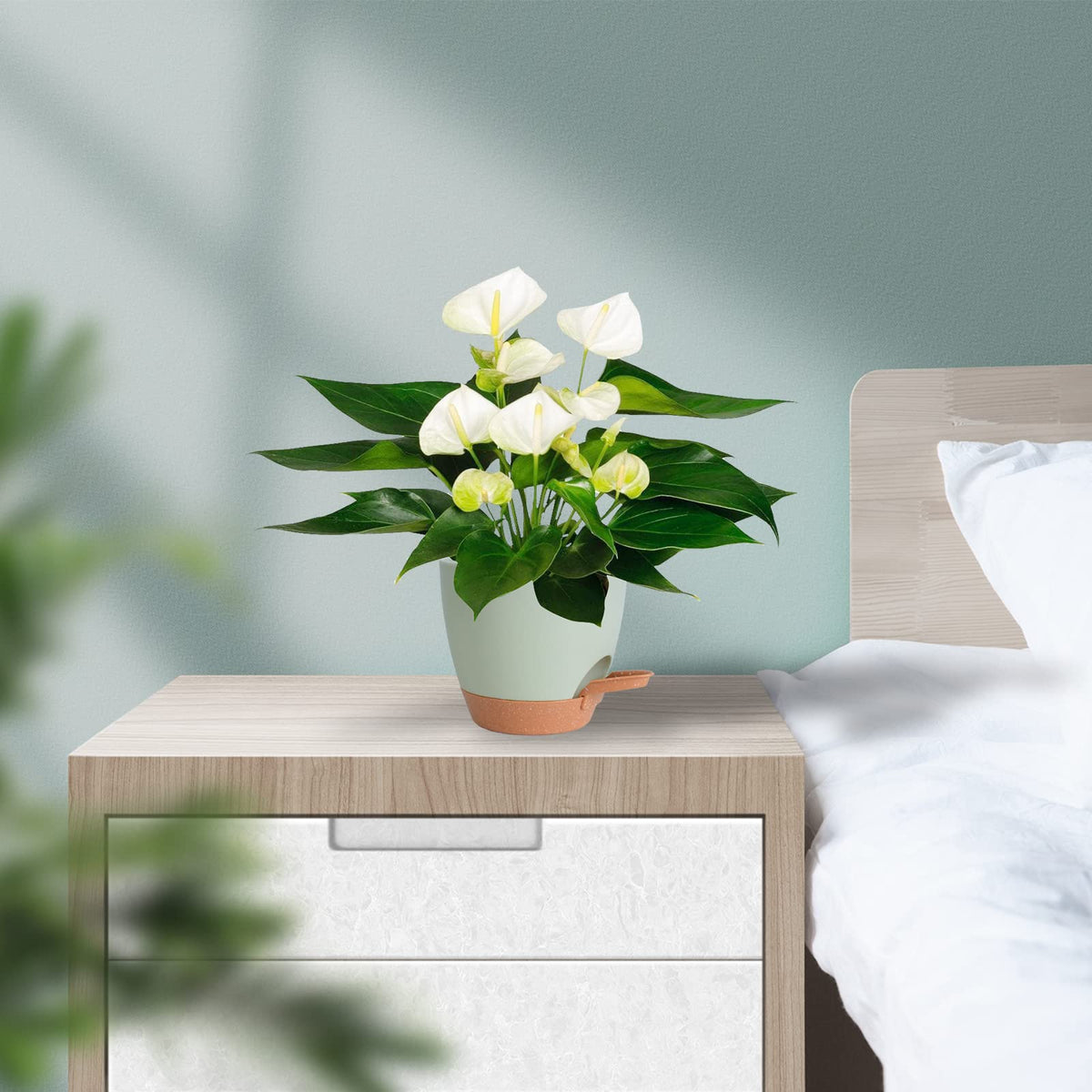 Vanslogreen watering lip design lets you add water while watching the level