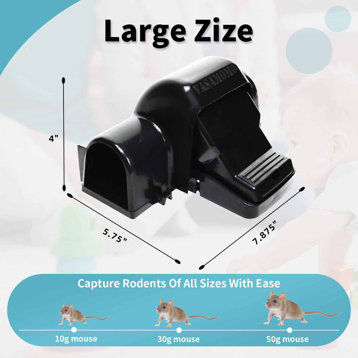 VASAMOMO large rat trap demonstrates durable build and simple, tool-free setup.