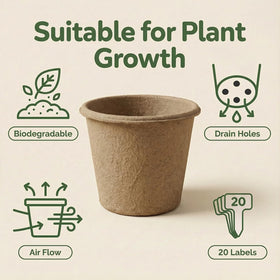 Vayantgo biodegradable nursery pot ready to be planted in soil