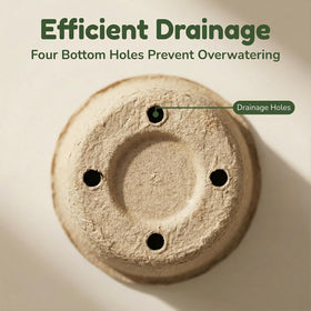 Vayantgo seed pot showing drainage holes for proper watering