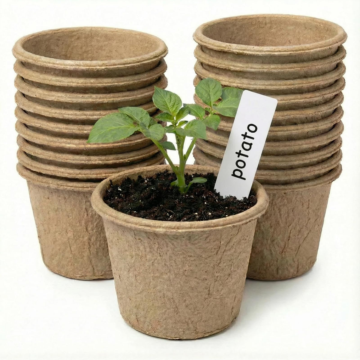 Vayantgo 5-inch peat pot with label for organized seed starting