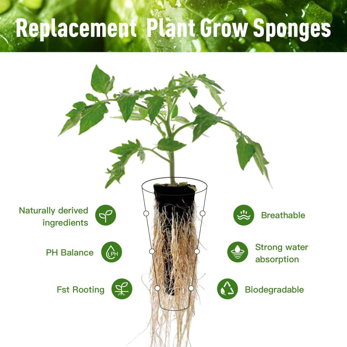 VCTMSKT peat-based sponges gentle on delicate seedlings