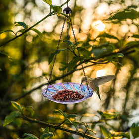 VCUTEKA easy-clean setup keeps the bowl tidy between bird visits