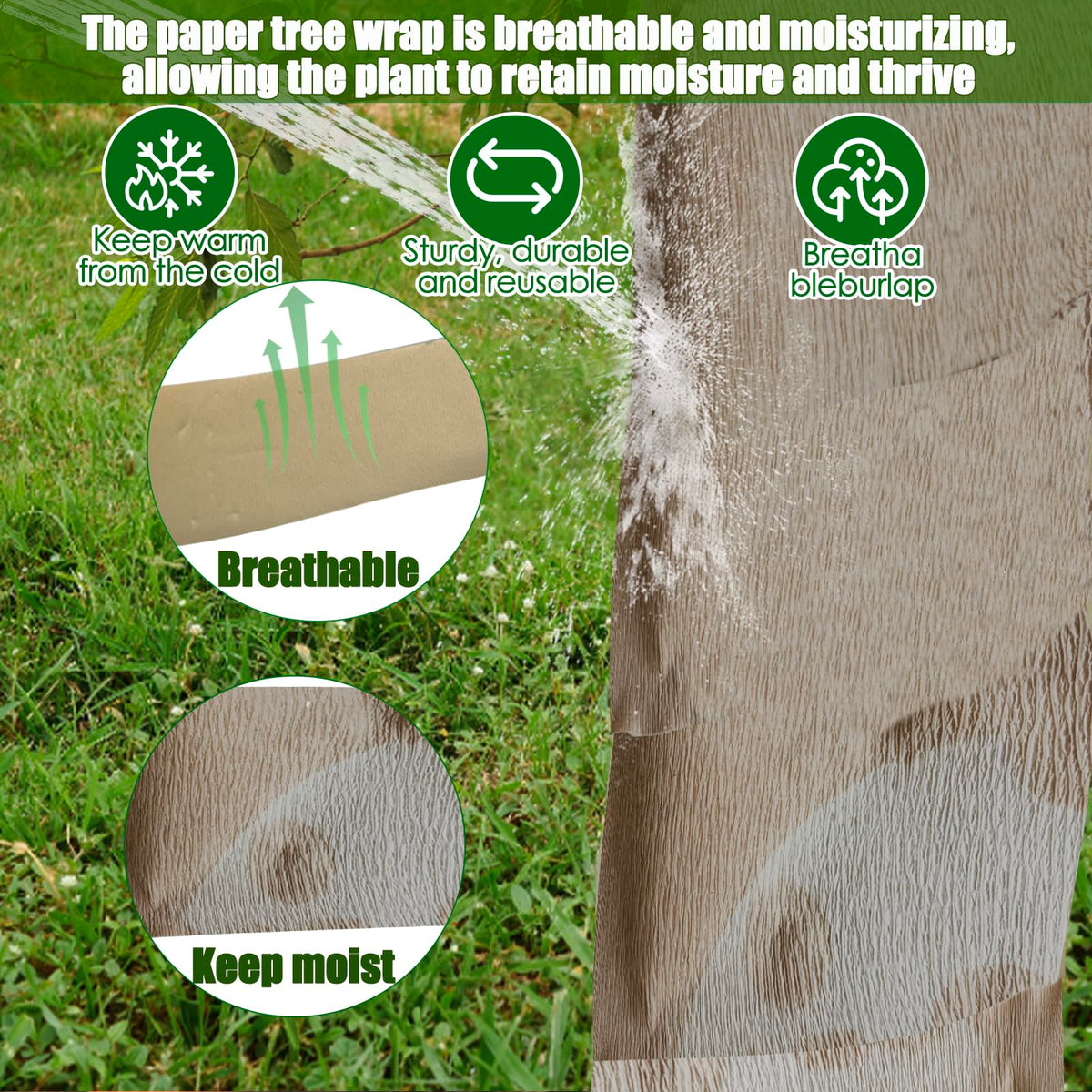 Apply Vecacosic wrap around trunk to shield bark
