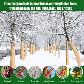 Biodegradable Vecacosic paper wrap highlighting eco-friendly material