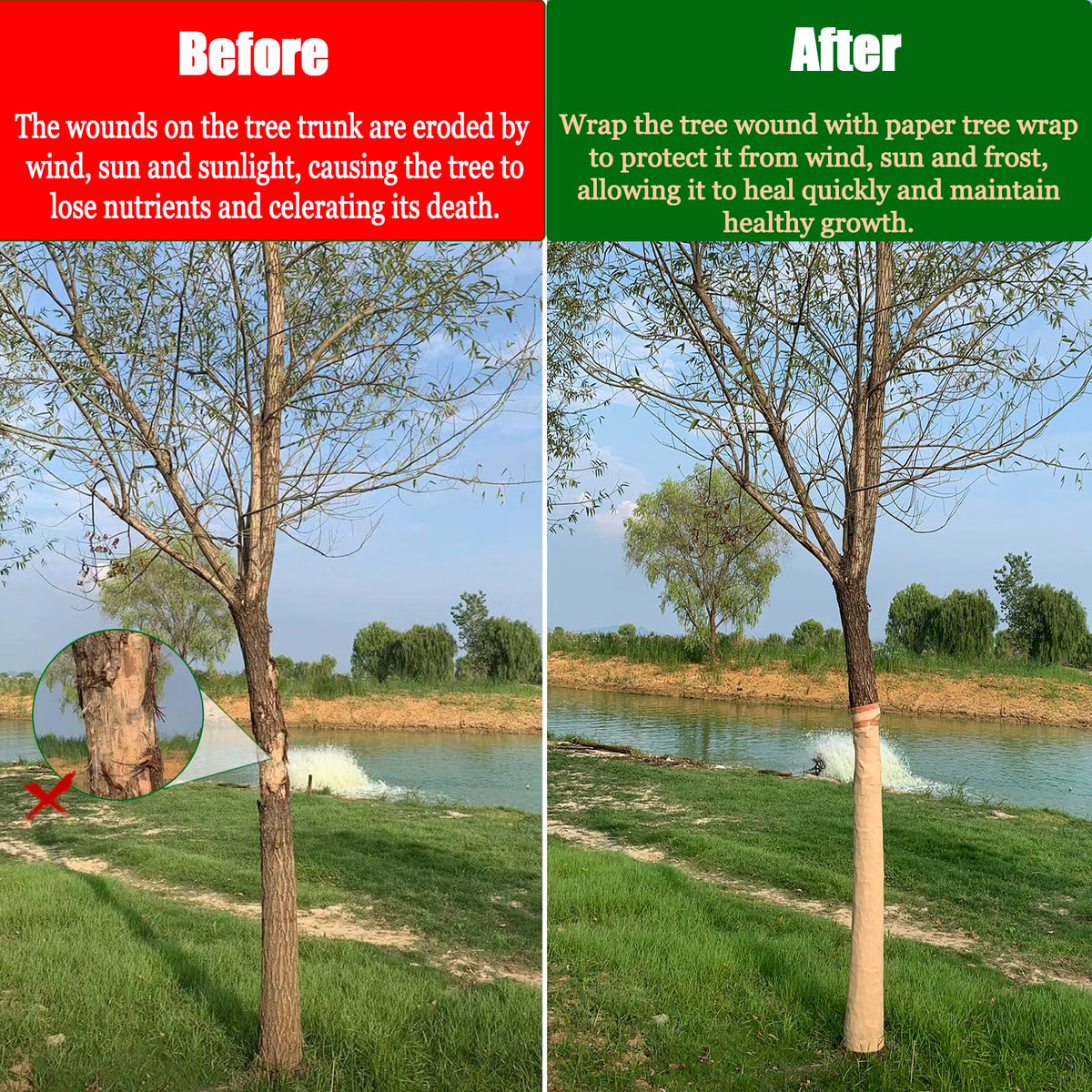 Vecacosic wrap used on multiple trees like apple and citrus