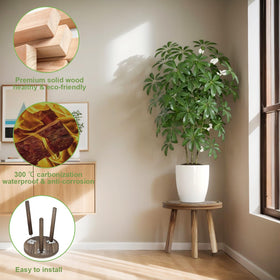 Vecxoty carbonized pine adds natural warmth to indoor plant corners.