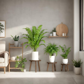 Vecxoty compact indoor stands fit tight corners and shelves.