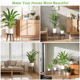 Vecxoty large plants stay stable on the thick slat supports.