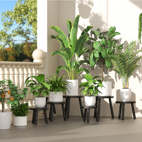 Vecxoty wood plant stand 7.9h-8.9d adds depth to a display.