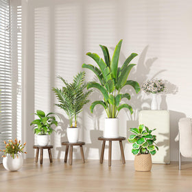 Vecxoty 8.1-inch plant stand keeps small to mid pots organized and visible