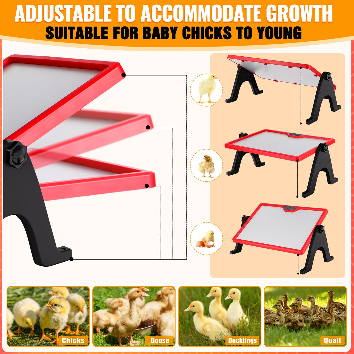 VEDALIO wall-mount option saves coop space while keeping chicks warm.