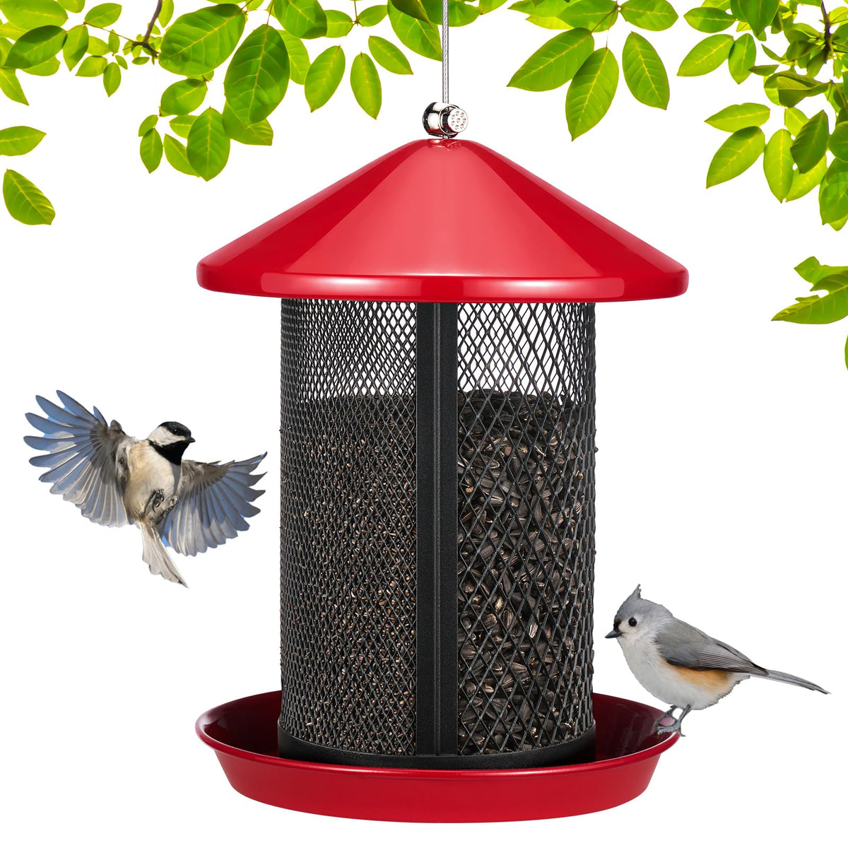 Veehoo metal bird feeder with outdoor dual seed chambers attracts cardinals and bluebirds with separate feeds.