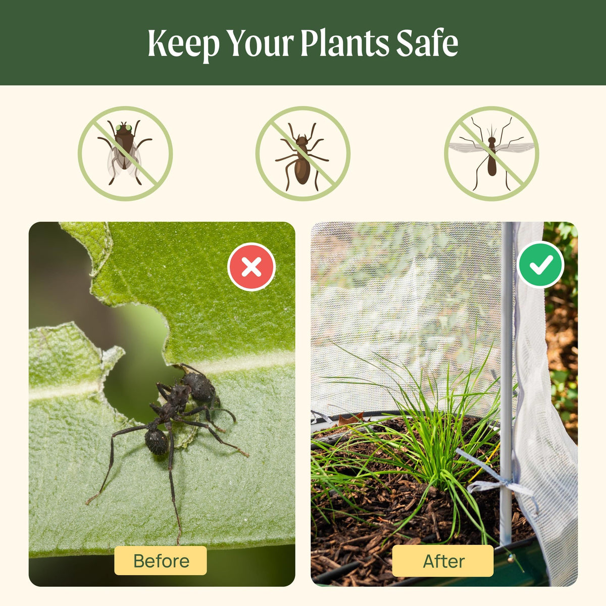 Vego garden 35-percent shading reduces evaporation while protecting heat-sensitive plants