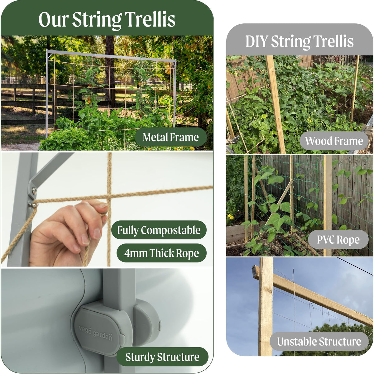 Vego Garden stainless steel rings enable multiple support styles for diverse crops.