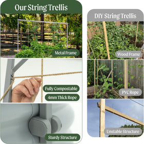 Vego Garden stainless steel rings enable multiple support styles for diverse crops.