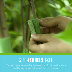 Secure young saplings with a wide, gentle strap without bark damage
