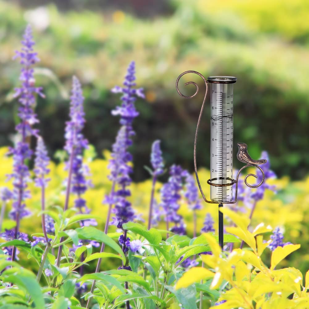 Venniy rain gauge glass tube with measurement scale shows inches and centimeters clearly.