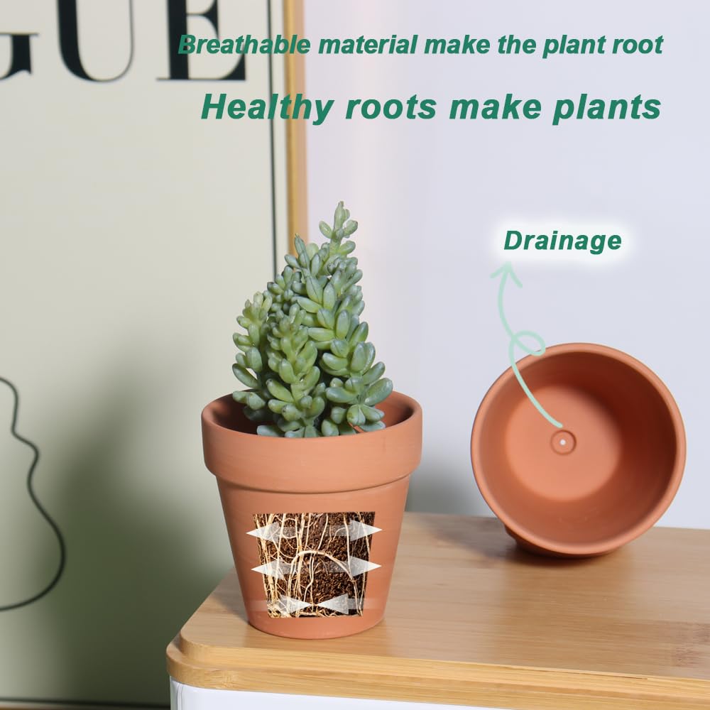 vensovo 20-pack terracotta pots ready for projects