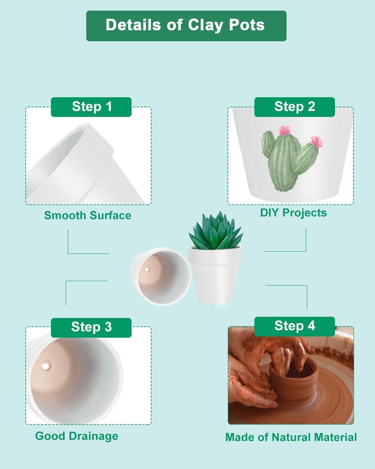 vensovo 2-inch pot suited for cactus and succulent care