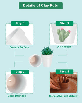 vensovo 2-inch pot suited for cactus and succulent care