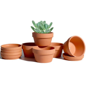vensovo 3.7-inch terracotta pot with saucer for indoor succulents and drainage.