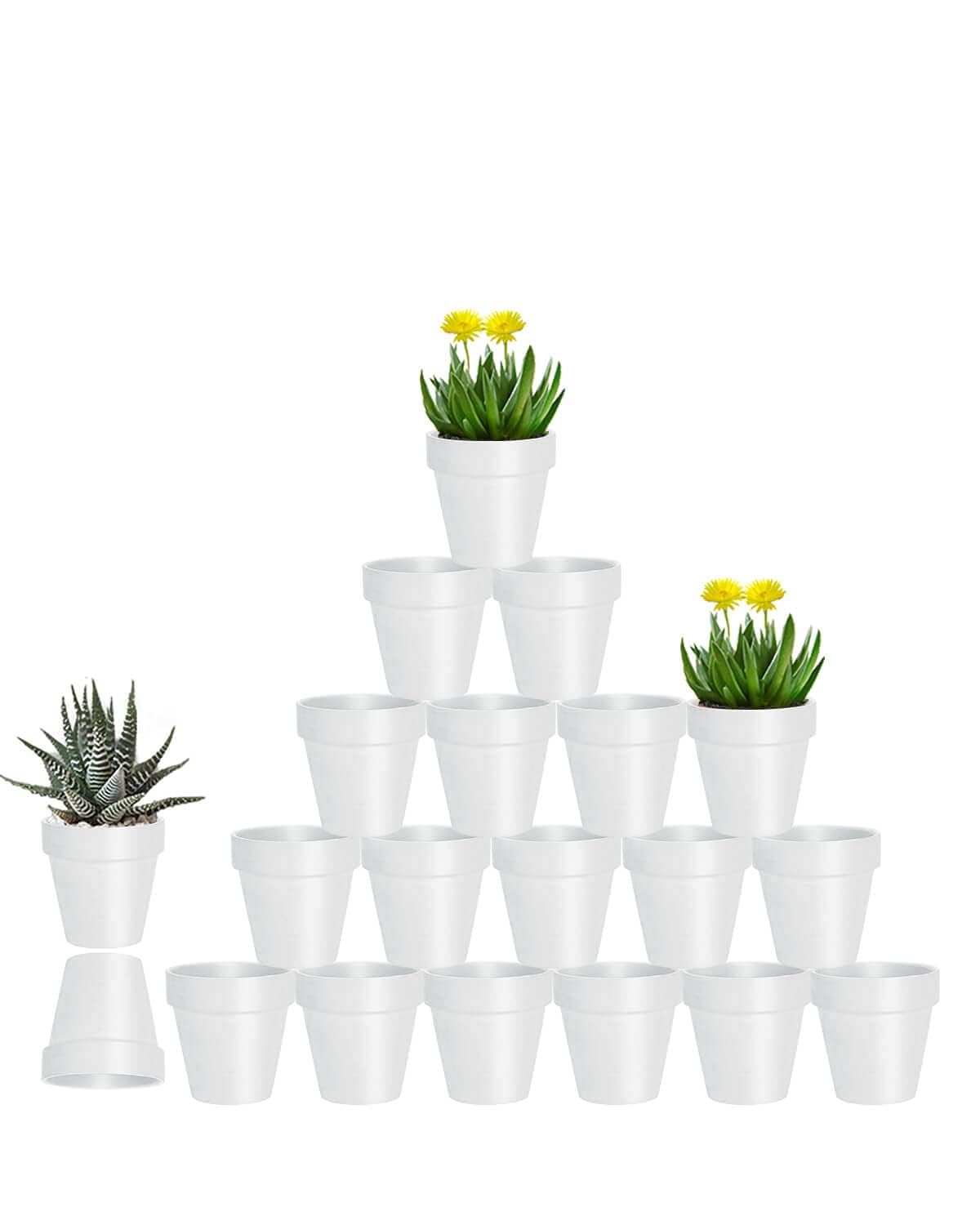 Vensovo 3-inch terracotta pot with drainage holes for efficient watering.